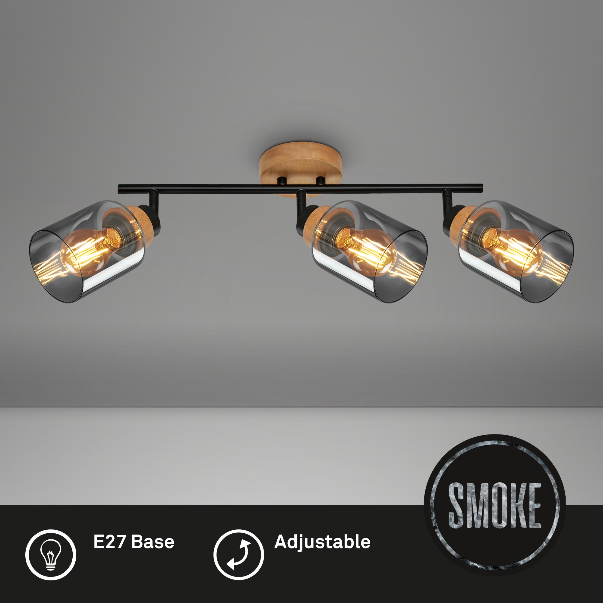 2485035 Reflektor, stropna svetilka 3xE27-max.3x10W