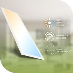 3987016 LED panel za notranje prostore, energijska učinkovitost A, 14W-2900lm-CCT(3000-6500K)