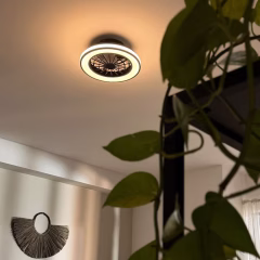 Stropni ventilatorji s svetilko