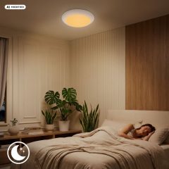 4042011 Led plafonjera, stropna luč 18W-2800lm-CCT (2000K-4000K) - slika 5