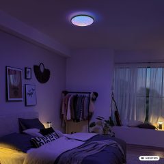 4093015 Led stropna svetilka-plafonjera, 23W-2800lm-CCT (3000K-6500K) - slika 7