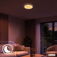 4093016 Led stropna svetilka-plafonjera, 23W-2800lm-CCT (3000K-6500K) - slika 5
